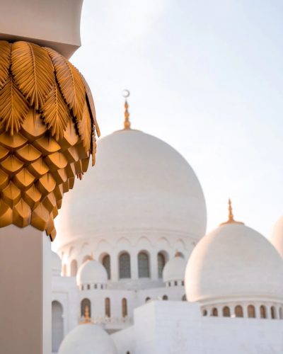 beautiful-shot-sheikh-zayed-grand-mosque-abu-dhabi-daytime_181624-51604-min